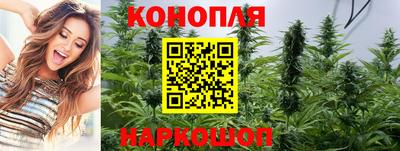 МДПВ Партизанск