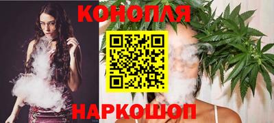 МДПВ Партизанск