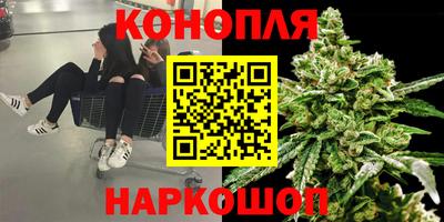МДПВ Партизанск
